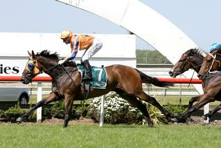 In a Twinkling dominates the $100,000 Group Three Ssangyong Counties Cup (2100m). Photo: Trish Dunell. 